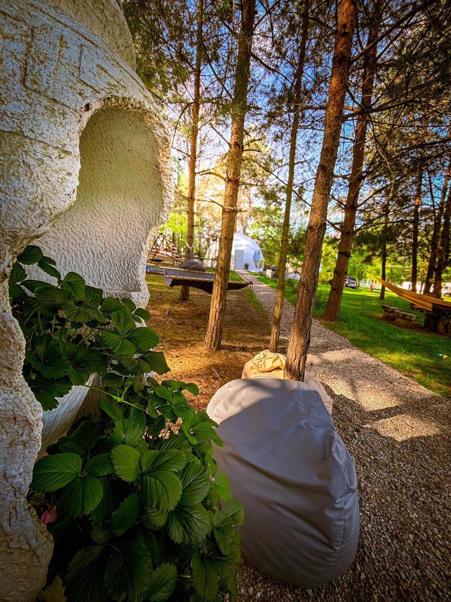Hotel Glamping Pod Orlem Cedynia Exterior foto