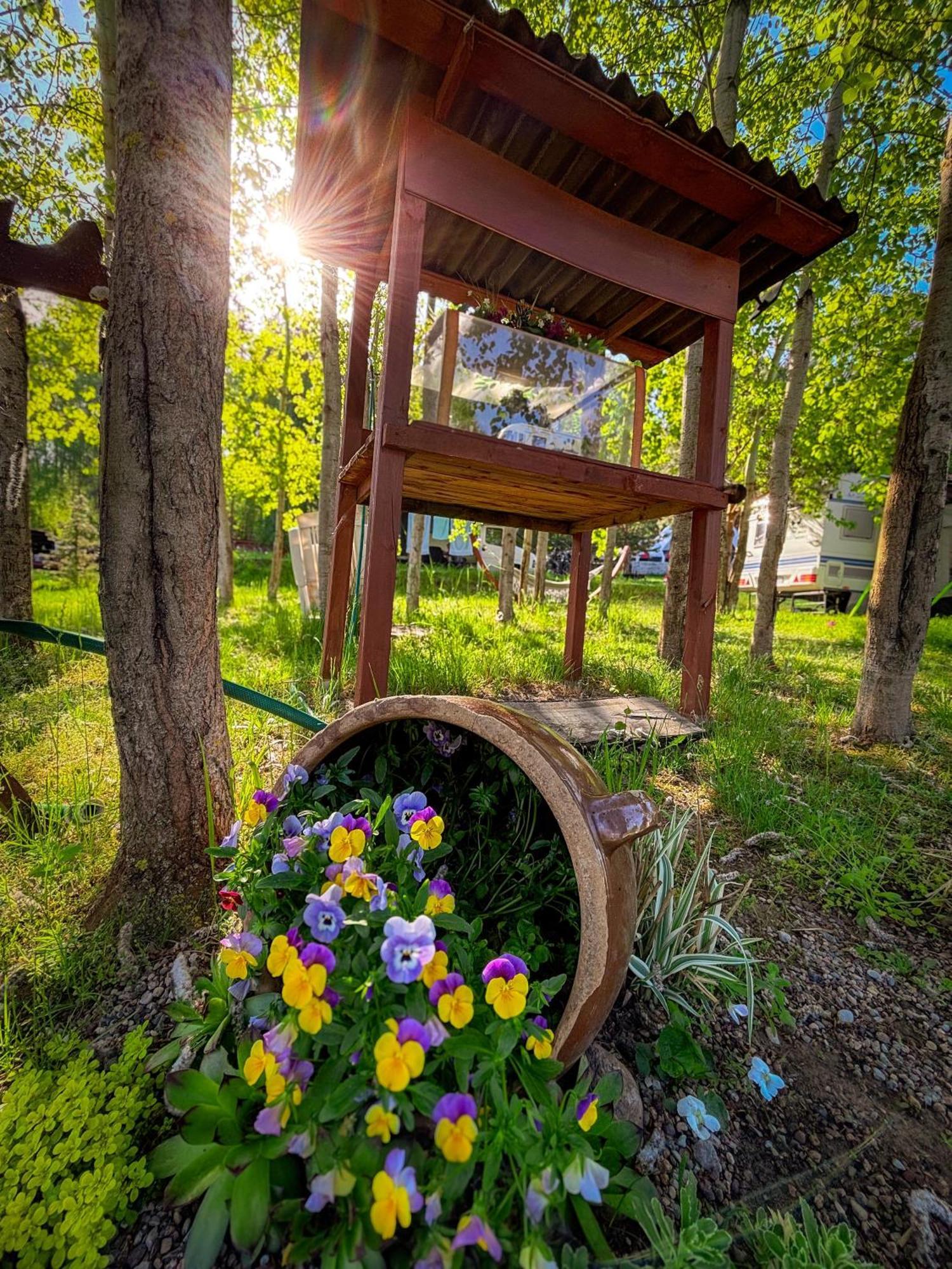 Hotel Glamping Pod Orlem Cedynia Exterior foto