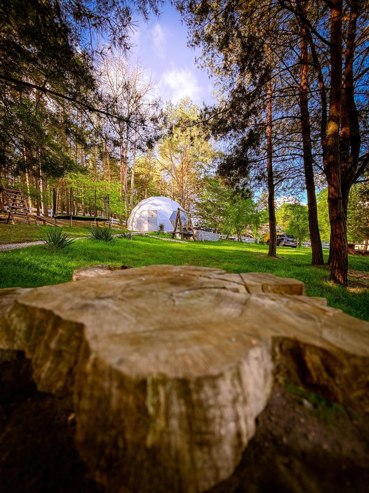Hotel Glamping Pod Orlem Cedynia Exterior foto