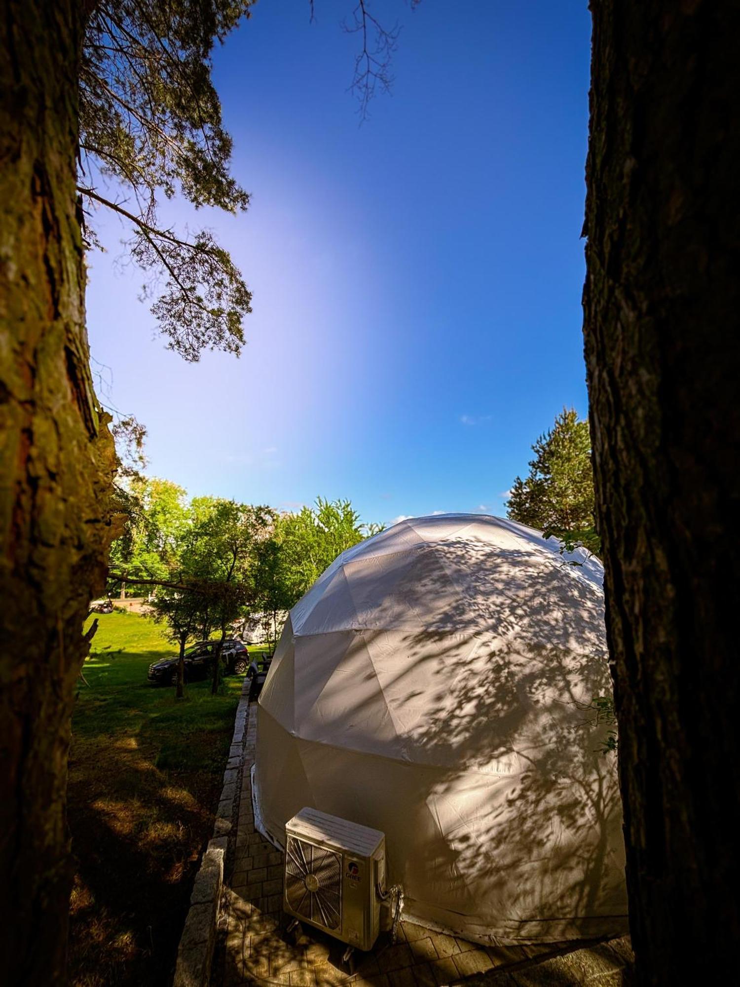 Hotel Glamping Pod Orlem Cedynia Exterior foto